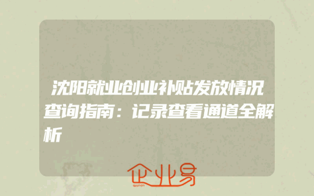沈阳就业创业补贴发放情况查询指南：记录查看通道全解析