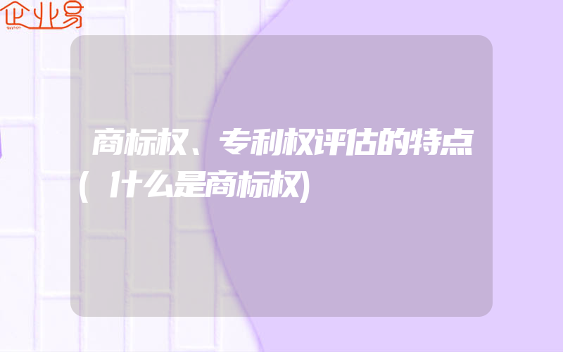 商标权、专利权评估的特点(什么是商标权)