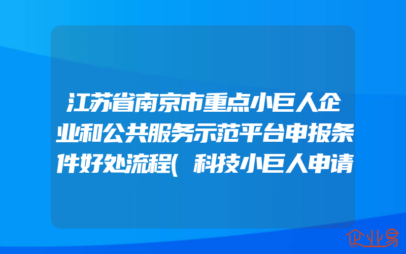 江苏省南京市重点小巨人企业和公共服务示范平台申报条件好处流程(科技小巨人申请)