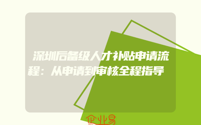 深圳后备级人才补贴申请流程：从申请到审核全程指导