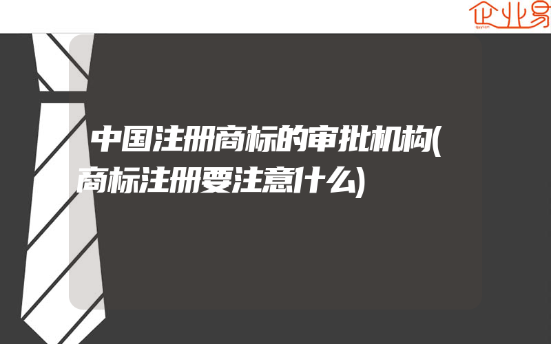 中国注册商标的审批机构(商标注册要注意什么)