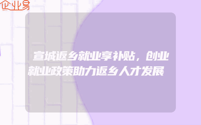 宣城返乡就业享补贴，创业就业政策助力返乡人才发展