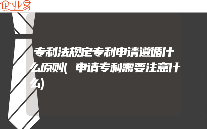 专利法规定专利申请遵循什么原则(申请专利需要注意什么)