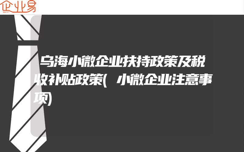 乌海小微企业扶持政策及税收补贴政策(小微企业注意事项)