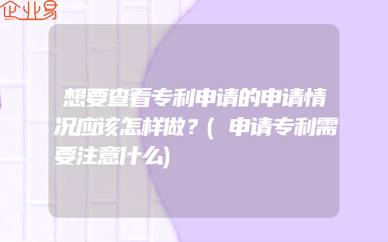 想要查看专利申请的申请情况应该怎样做？(申请专利需要注意什么)