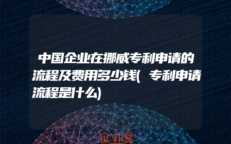 中国企业在挪威专利申请的流程及费用多少钱(专利申请流程是什么)