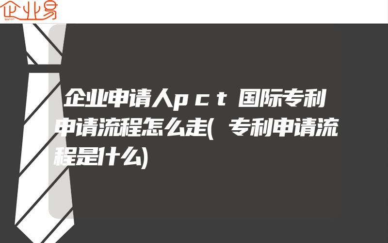 企业申请人pct国际专利申请流程怎么走(专利申请流程是什么)