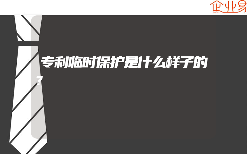 专利临时保护是什么样子的？