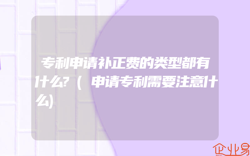 专利申请补正费的类型都有什么?(申请专利需要注意什么)