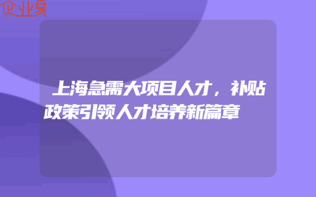 上海急需大项目人才，补贴政策引领人才培养新篇章
