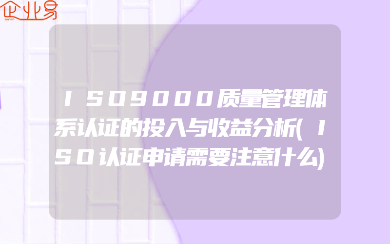 ISO9000质量管理体系认证的投入与收益分析(ISO认证申请需要注意什么)