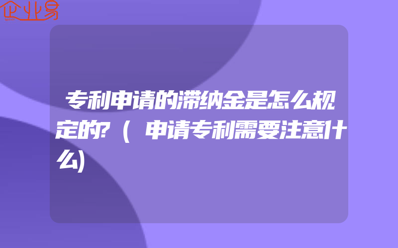 专利申请的滞纳金是怎么规定的?(申请专利需要注意什么)