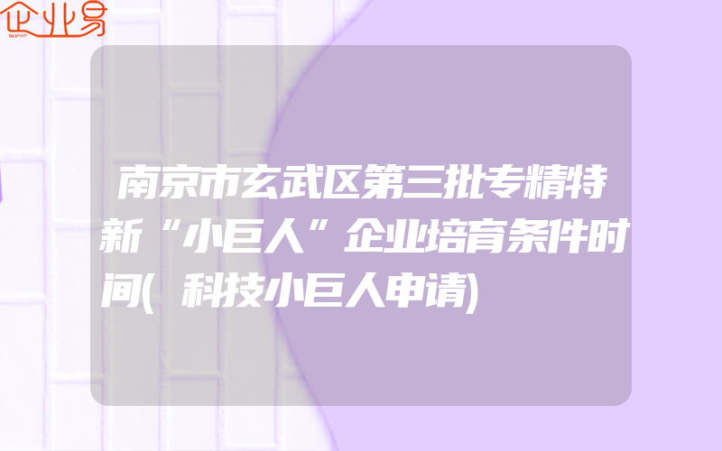 南京市玄武区第三批专精特新“小巨人”企业培育条件时间(科技小巨人申请)