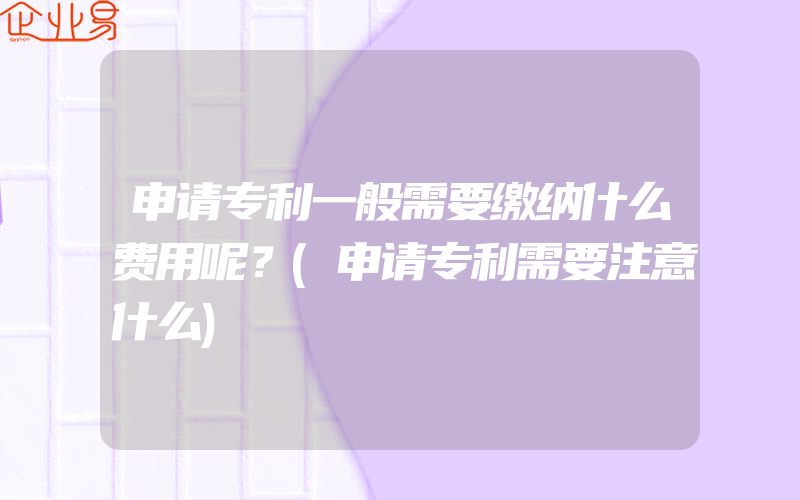 申请专利一般需要缴纳什么费用呢？(申请专利需要注意什么)