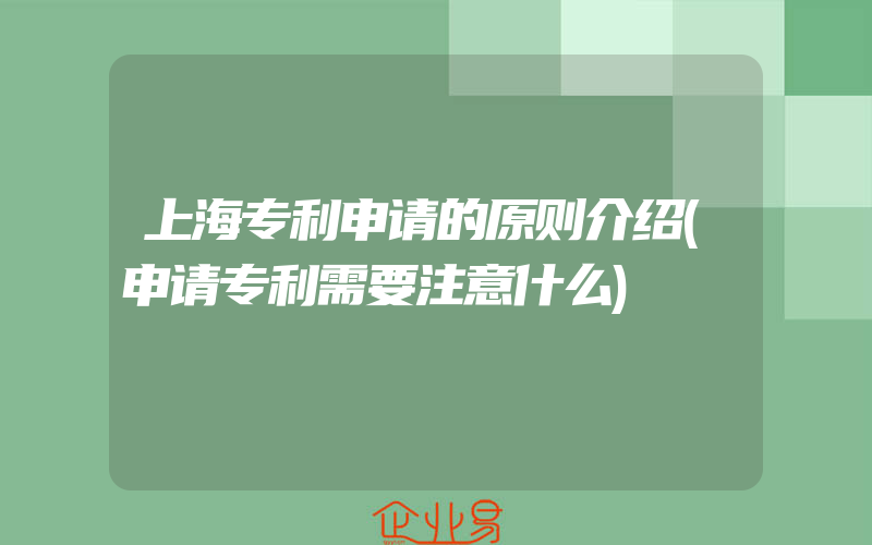 上海专利申请的原则介绍(申请专利需要注意什么)