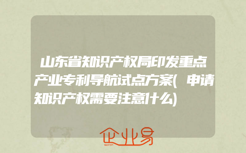 山东省知识产权局印发重点产业专利导航试点方案(申请知识产权需要注意什么)