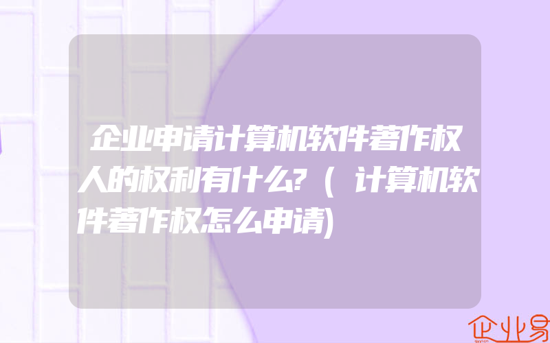 企业申请计算机软件著作权人的权利有什么?(计算机软件著作权怎么申请)