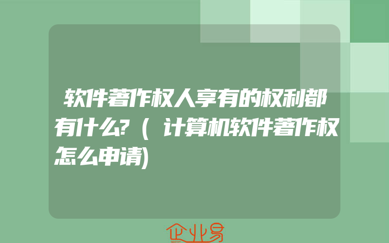 软件著作权人享有的权利都有什么?(计算机软件著作权怎么申请)