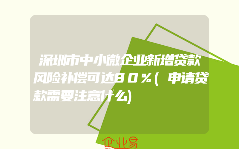 深圳市中小微企业新增贷款风险补偿可达80%(申请贷款需要注意什么)