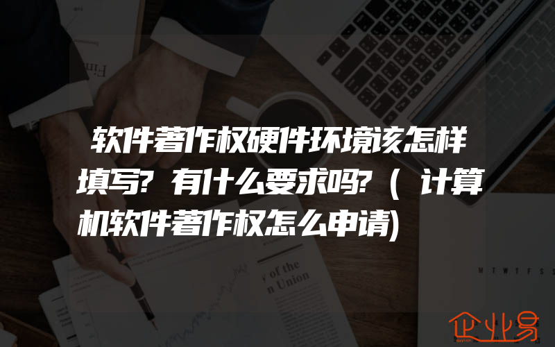 软件著作权硬件环境该怎样填写?有什么要求吗?(计算机软件著作权怎么申请)