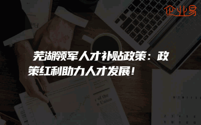 芜湖领军人才补贴政策：政策红利助力人才发展！