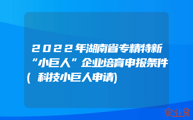 2022年湖南省专精特新“小巨人”企业培育申报条件(科技小巨人申请)