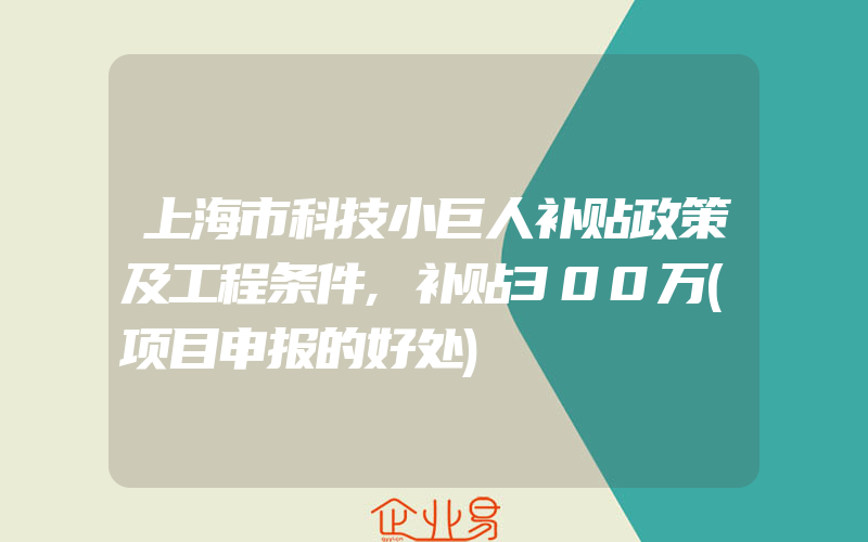 上海市科技小巨人补贴政策及工程条件,补贴300万(项目申报的好处)