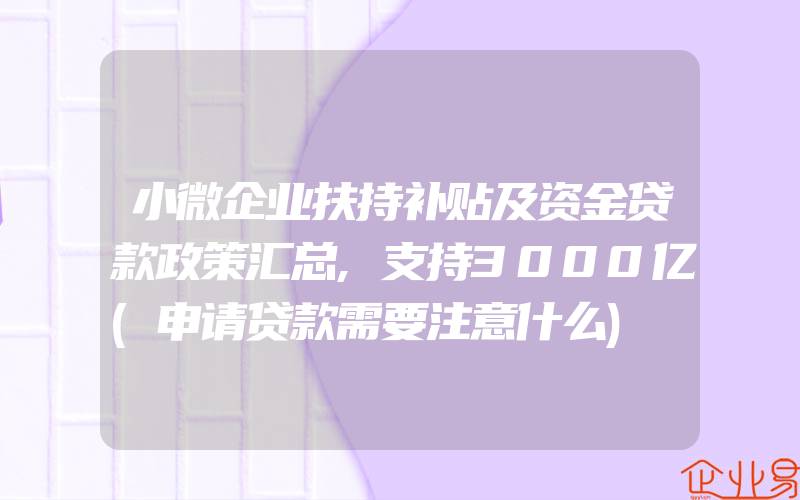 小微企业扶持补贴及资金贷款政策汇总,支持3000亿(申请贷款需要注意什么)