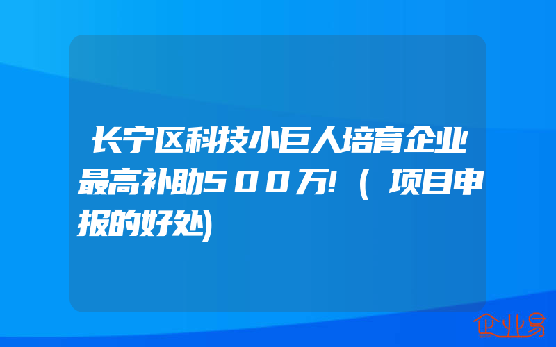 长宁区科技小巨人培育企业最高补助500万!(项目申报的好处)