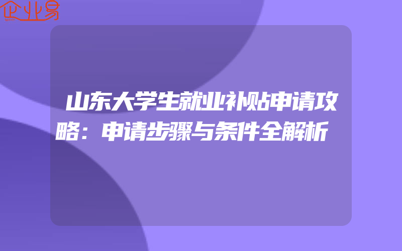 山东大学生就业补贴申请攻略：申请步骤与条件全解析