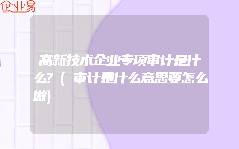 高新技术企业专项审计是什么?(审计是什么意思要怎么做)