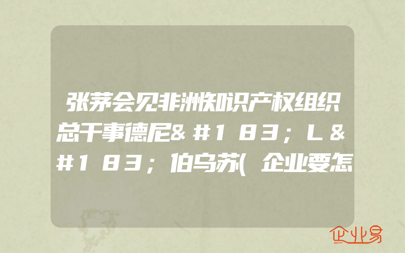 张茅会见非洲知识产权组织总干事德尼·L·伯乌苏(企业要怎么申请知识产权保护？)