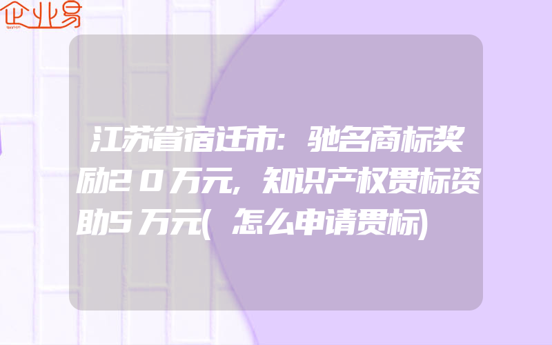 江苏省宿迁市:驰名商标奖励20万元,知识产权贯标资助5万元(怎么申请贯标)