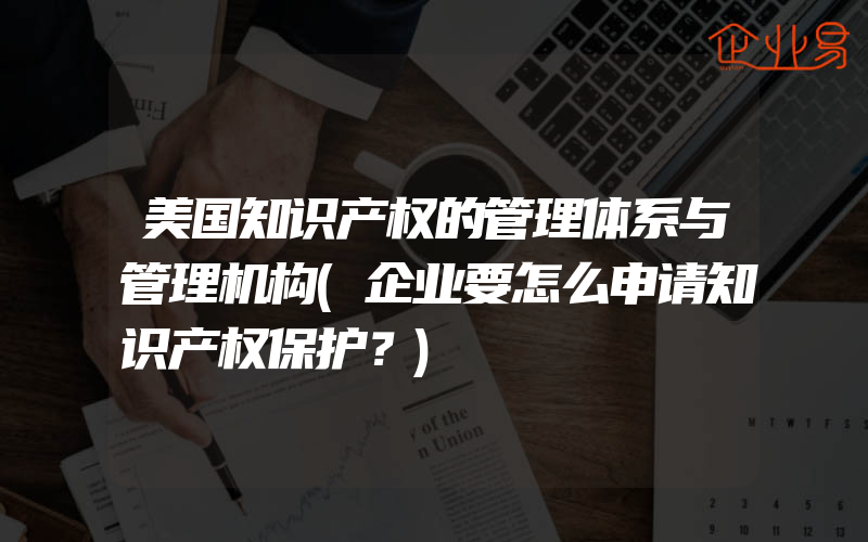 美国知识产权的管理体系与管理机构(企业要怎么申请知识产权保护？)