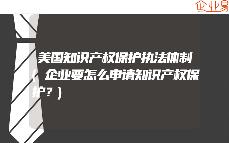 美国知识产权保护执法体制(企业要怎么申请知识产权保护？)