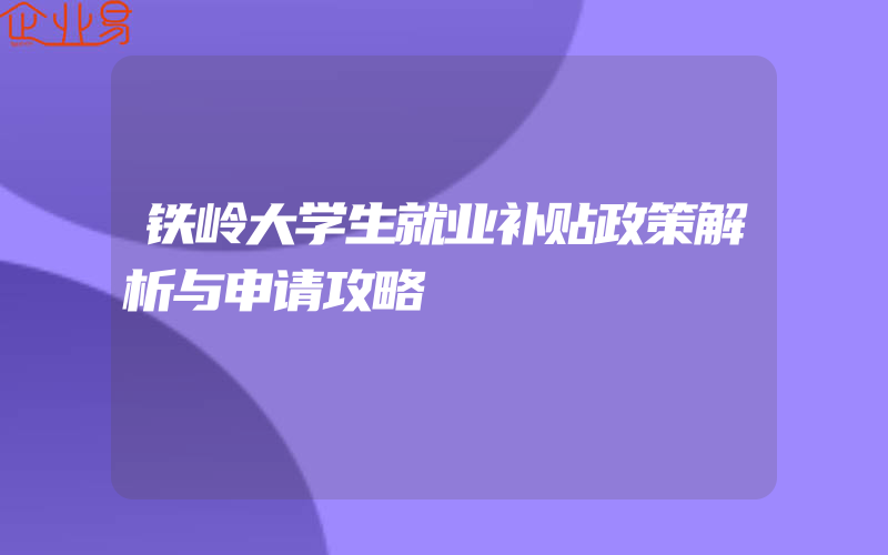 铁岭大学生就业补贴政策解析与申请攻略