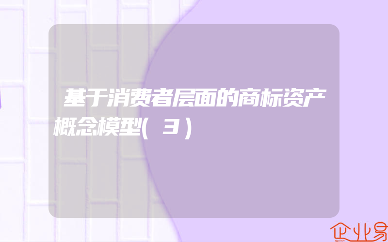 基于消费者层面的商标资产概念模型(3)