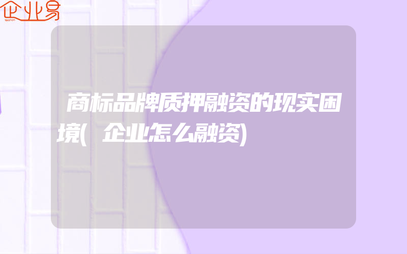 商标品牌质押融资的现实困境(企业怎么融资)