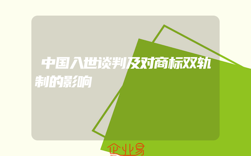 中国入世谈判及对商标双轨制的影响