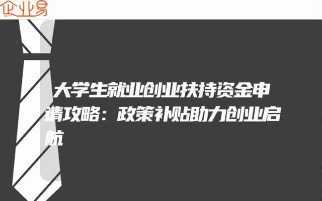 大学生就业创业扶持资金申请攻略：政策补贴助力创业启航
