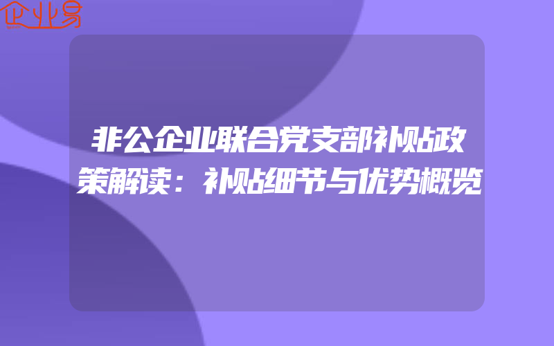 非公企业联合党支部补贴政策解读：补贴细节与优势概览