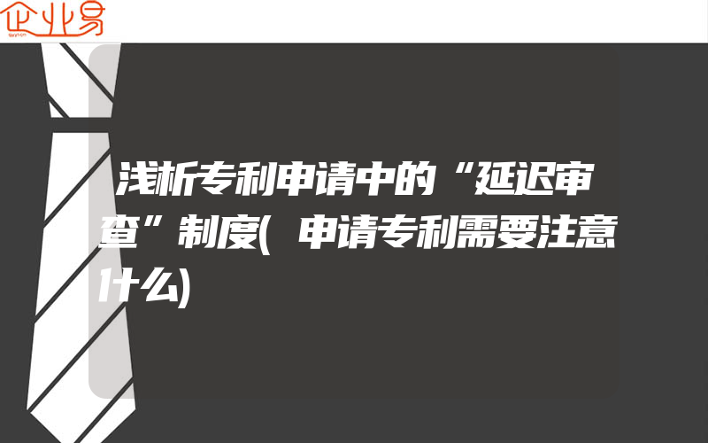 浅析专利申请中的“延迟审查”制度(申请专利需要注意什么)