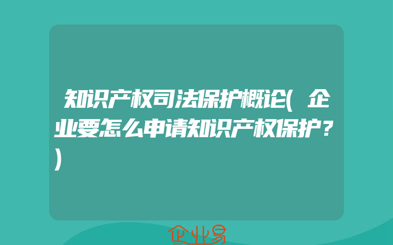 知识产权司法保护概论(企业要怎么申请知识产权保护？)