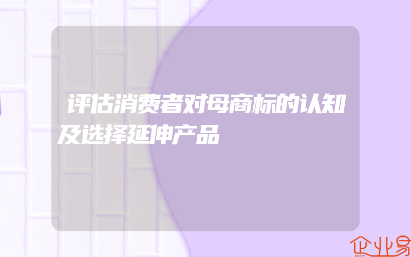 评估消费者对母商标的认知及选择延伸产品