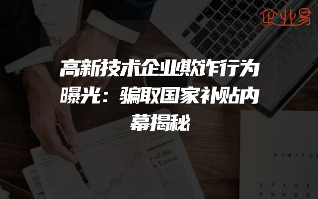 高新技术企业欺诈行为曝光：骗取国家补贴内幕揭秘