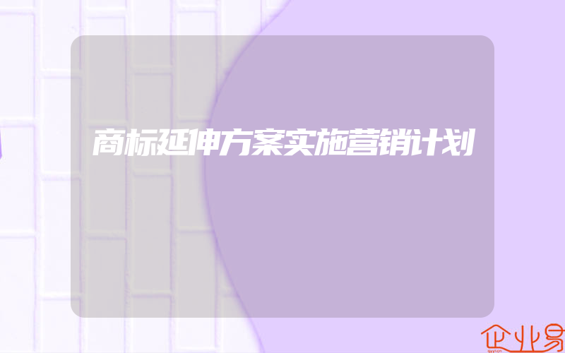 商标延伸方案实施营销计划