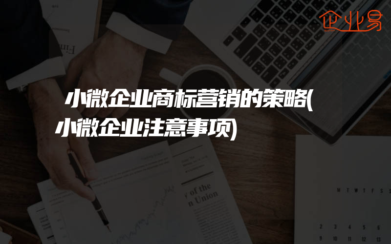 小微企业商标营销的策略(小微企业注意事项)