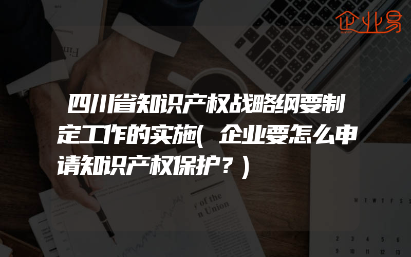 四川省知识产权战略纲要制定工作的实施(企业要怎么申请知识产权保护？)