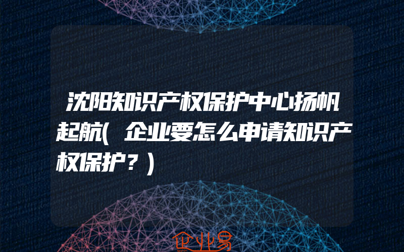 沈阳知识产权保护中心扬帆起航(企业要怎么申请知识产权保护？)