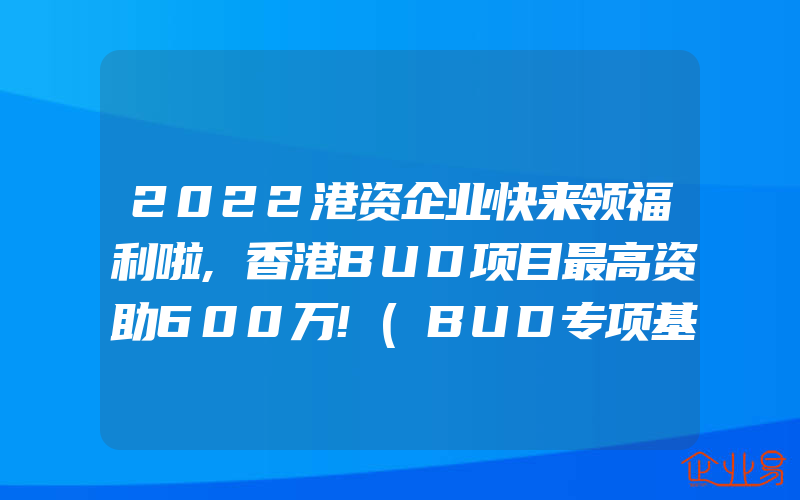 2022港资企业快来领福利啦,香港BUD项目最高资助600万!(BUD专项基金是什么)